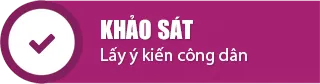 Khảo sát